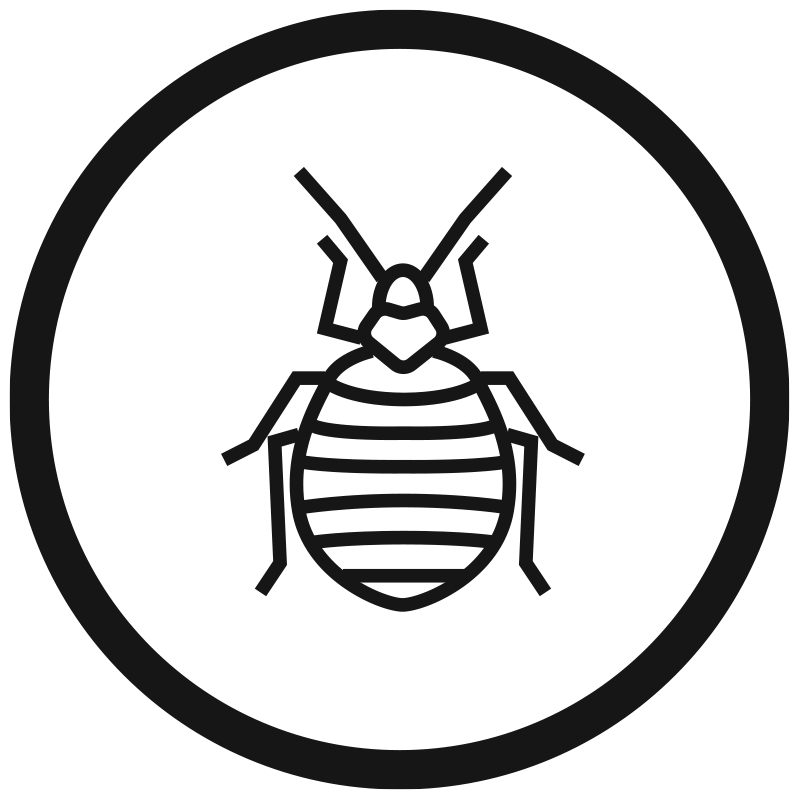 bed bug circle icon
