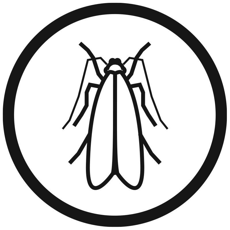 moth circle icon