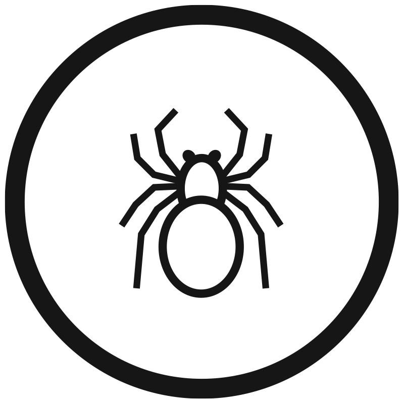spider circle icon