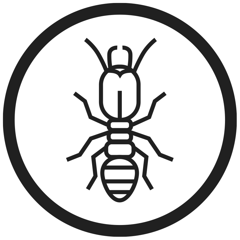 Termite circle icon